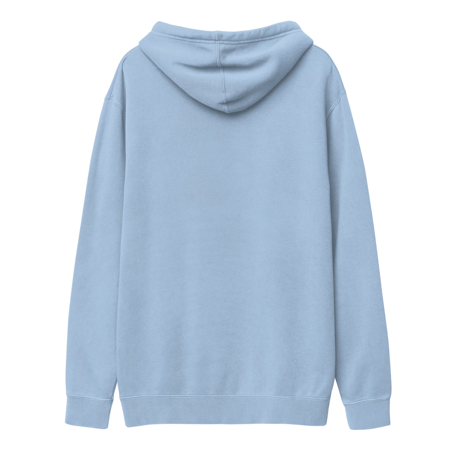 813SSED unisex pigment-dyed hoodie (7 colors)
