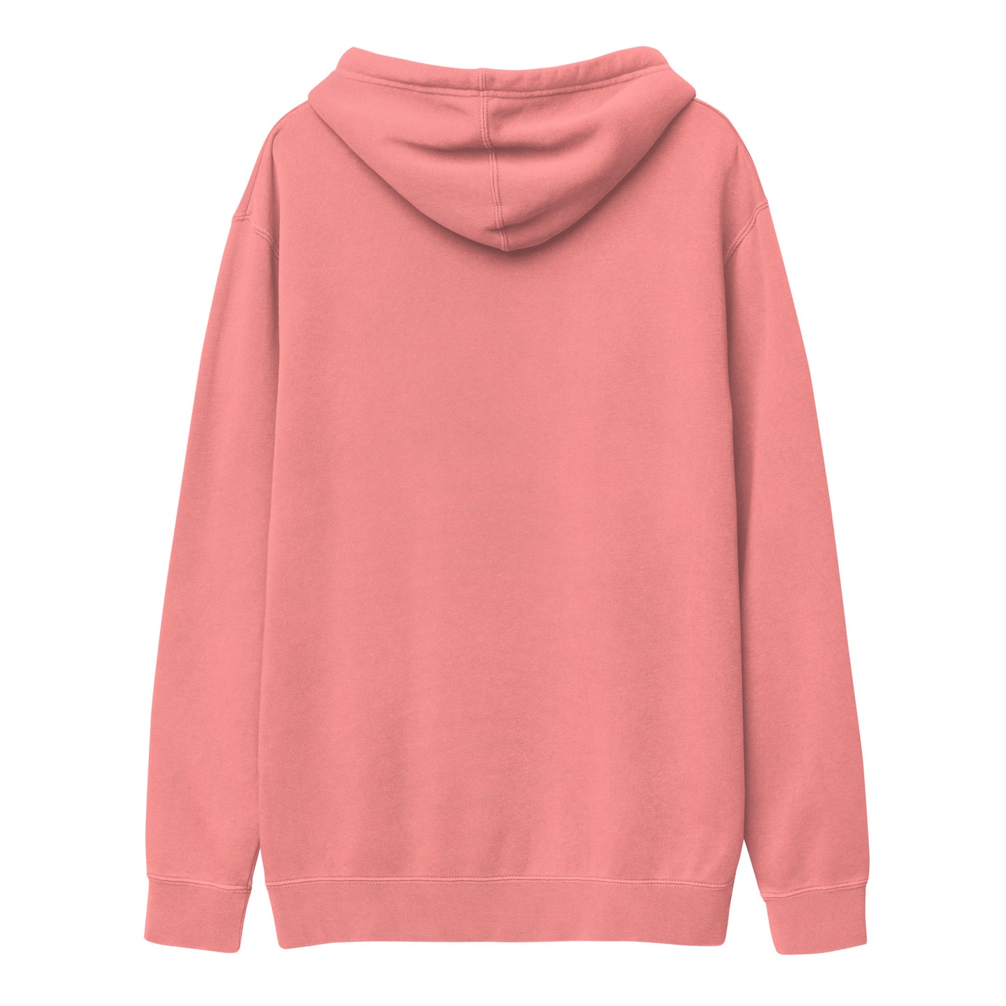 813SSED unisex pigment-dyed hoodie (7 colors)